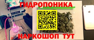 стаф Будённовск
