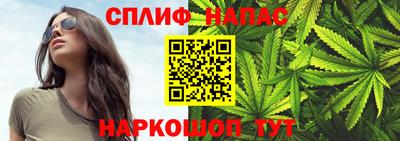 стаф Будённовск