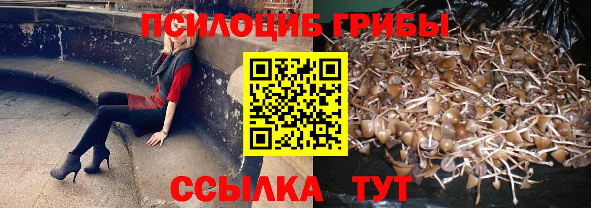 как найти   Вход с VPN  Хабаровск  Галлюциногенные грибы GOLDEN TEACHER  Галлюциногенные грибы ЛСД 